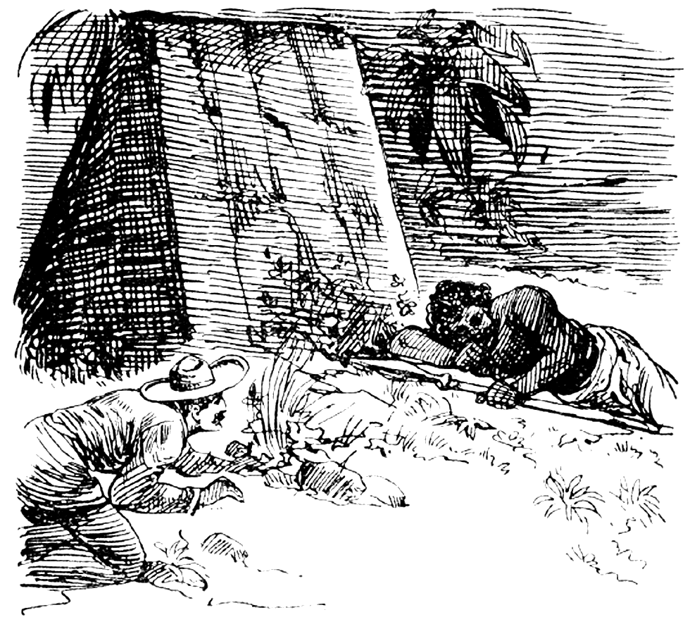 Illustration