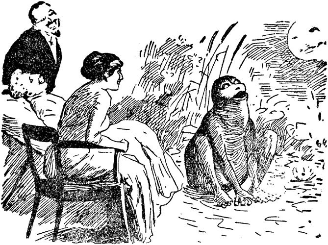 Illustration