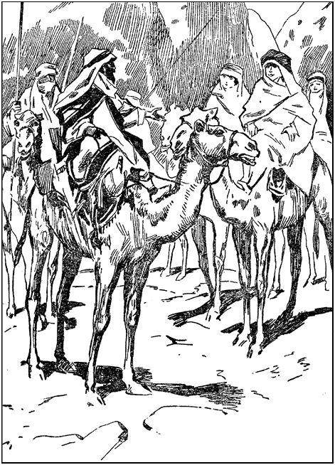 Illustration