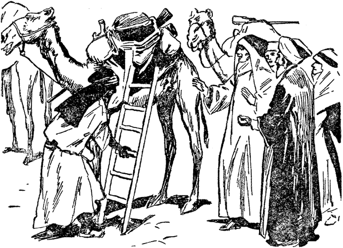 Illustration
