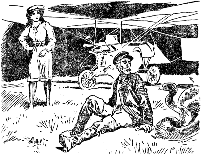 Illustration