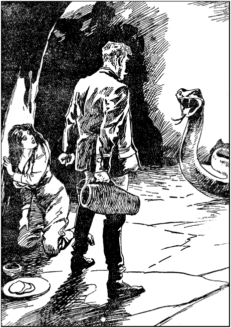 Illustration