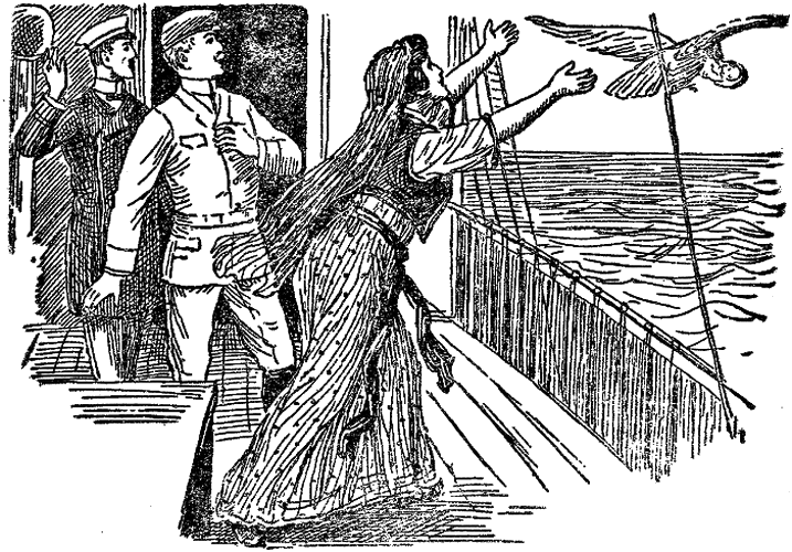 Illustration