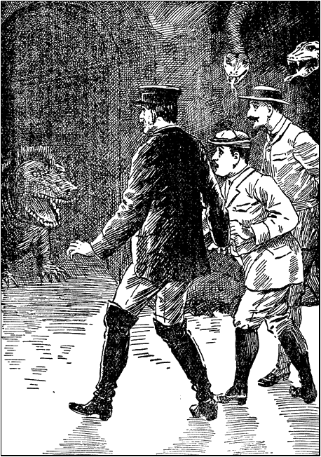 Illustration