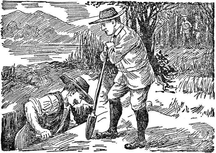 Illustration