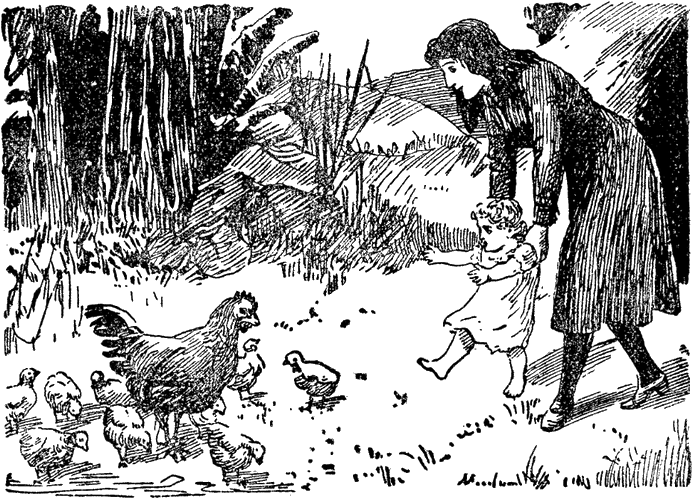 Illustration