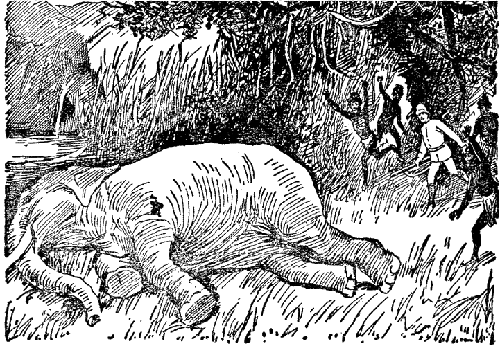 Illustration