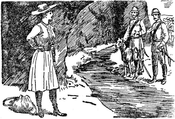 Illustration