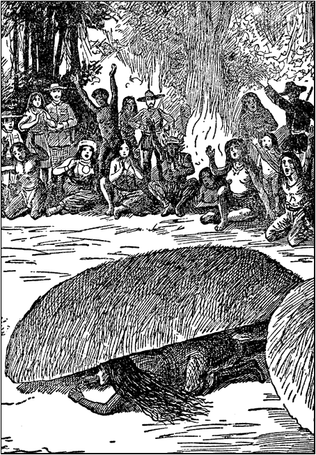 Illustration