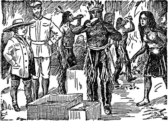 Illustration