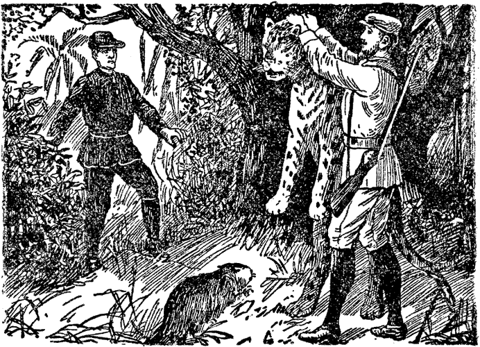 Illustration