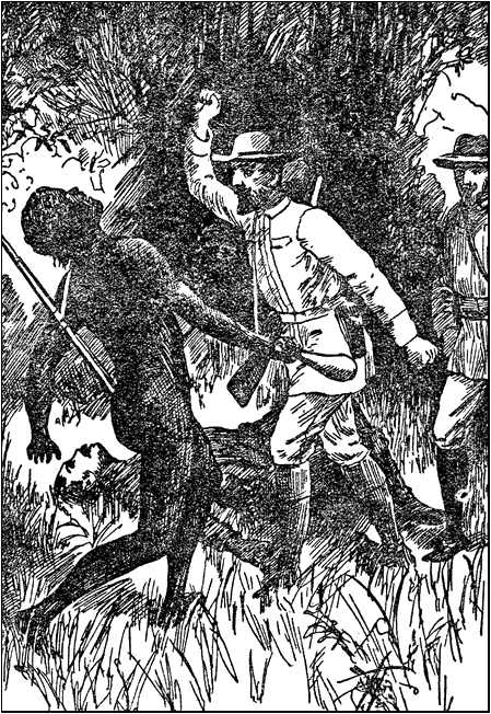 Illustration