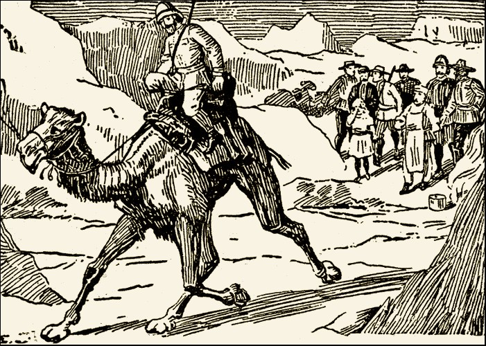 Illustration