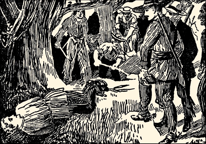 Illustration