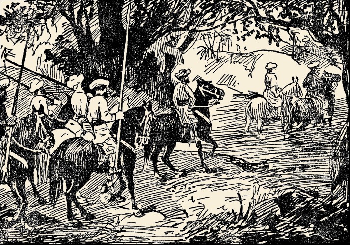 Illustration