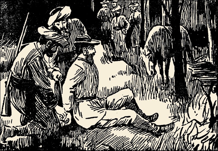 Illustration