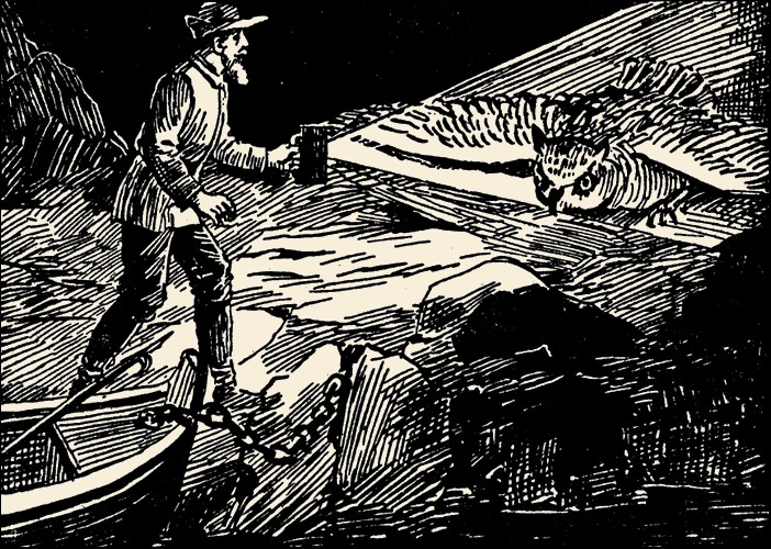 Illustration