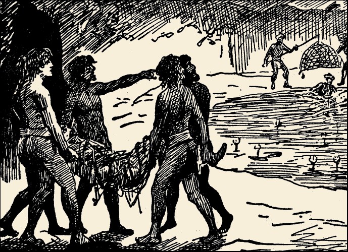 Illustration