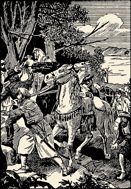 Illustration