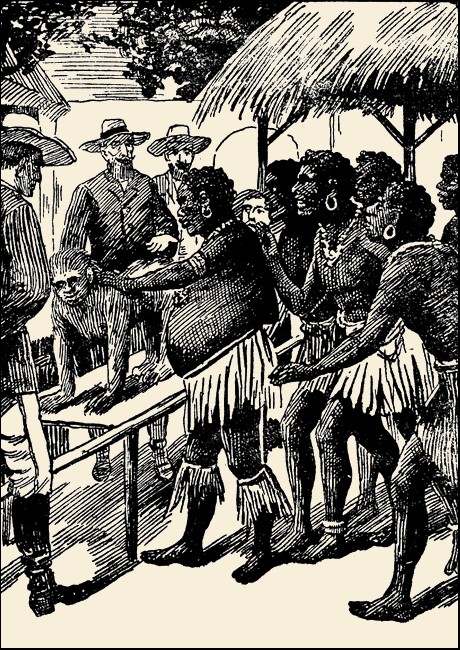 Illustration