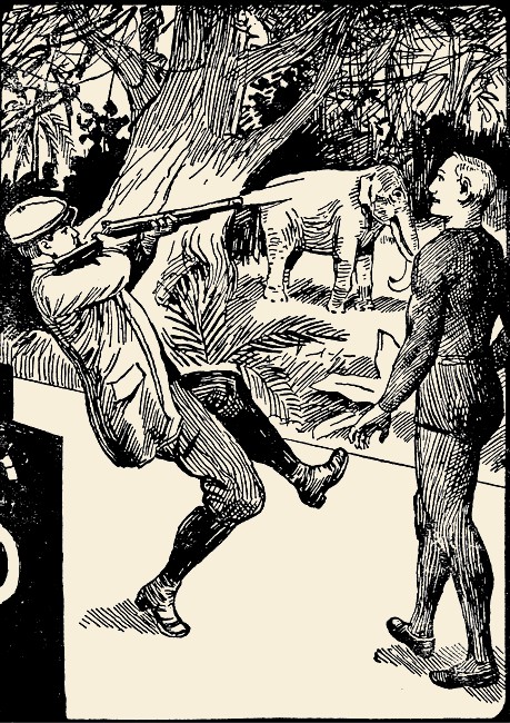 Illustration