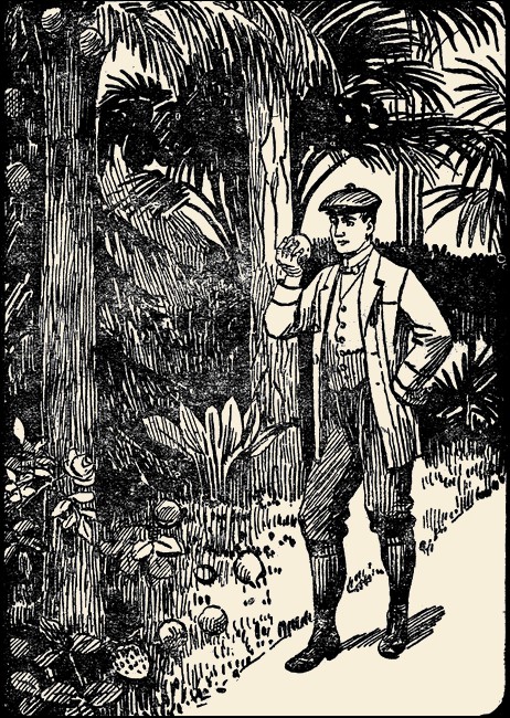 Illustration