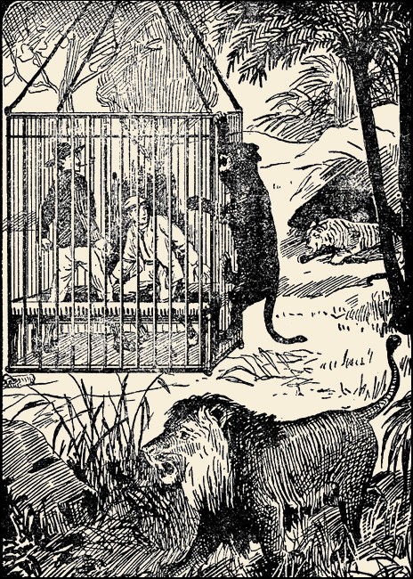 Illustration