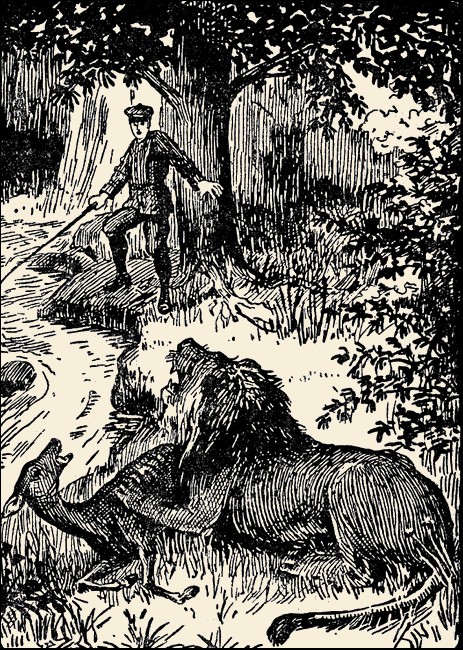 Illustration