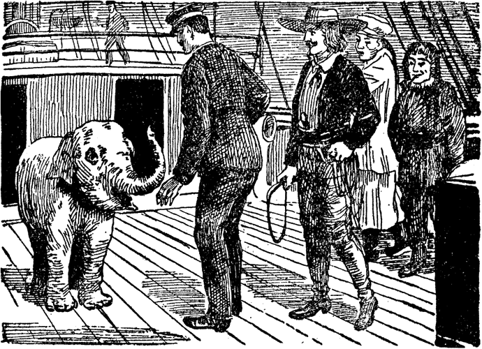 Illustration