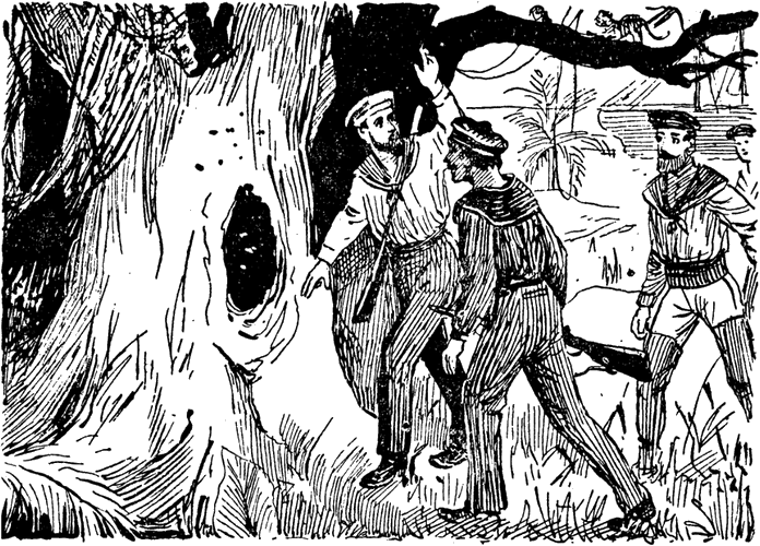 Illustration