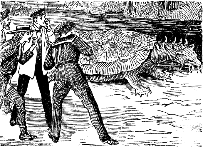 Illustration