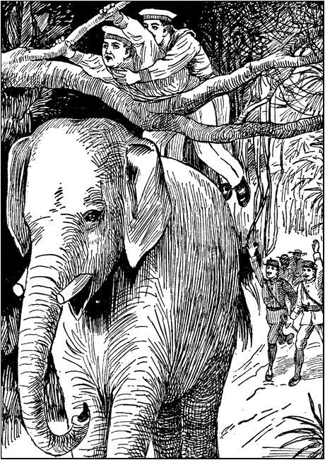 Illustration