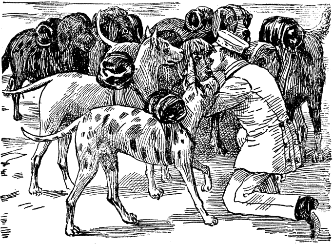 Illustration