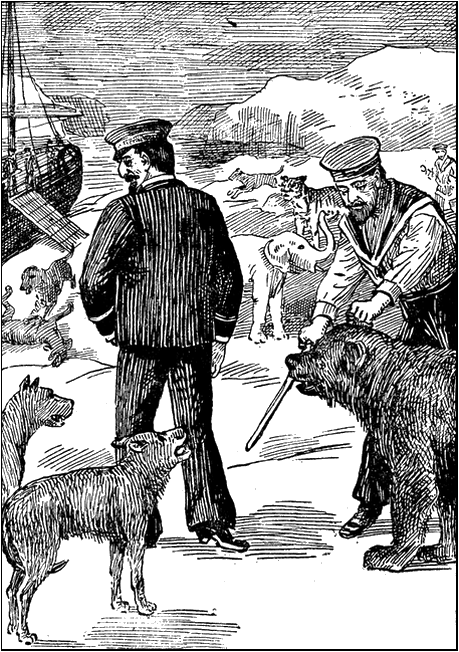 Illustration