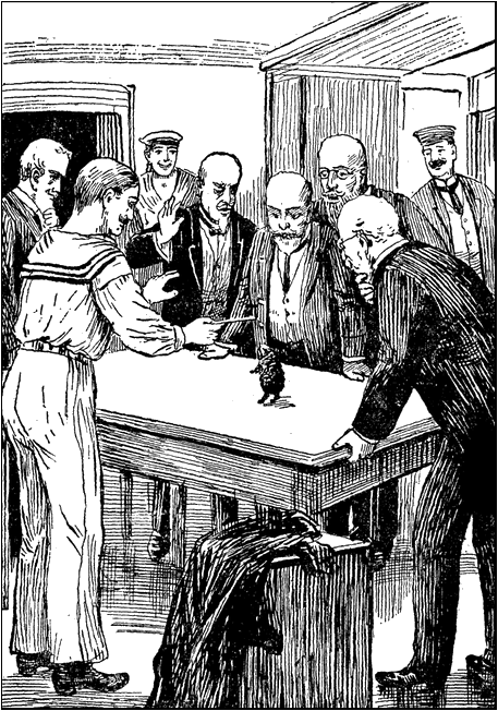 Illustration