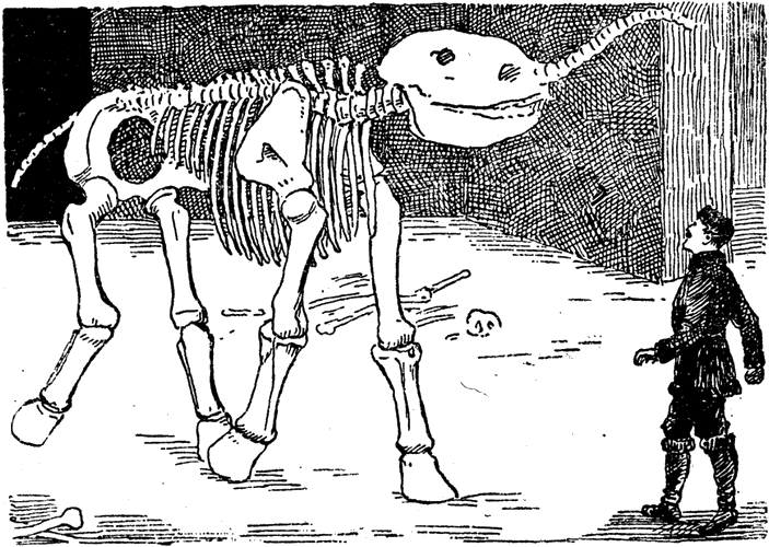 Illustration