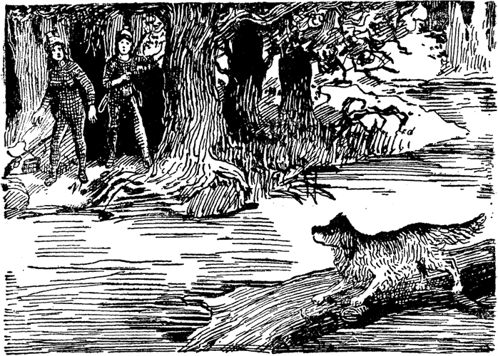 Illustration