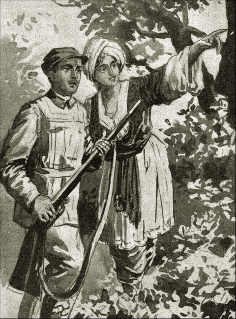 Illustration