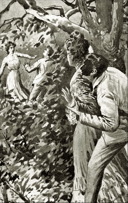 Illustration