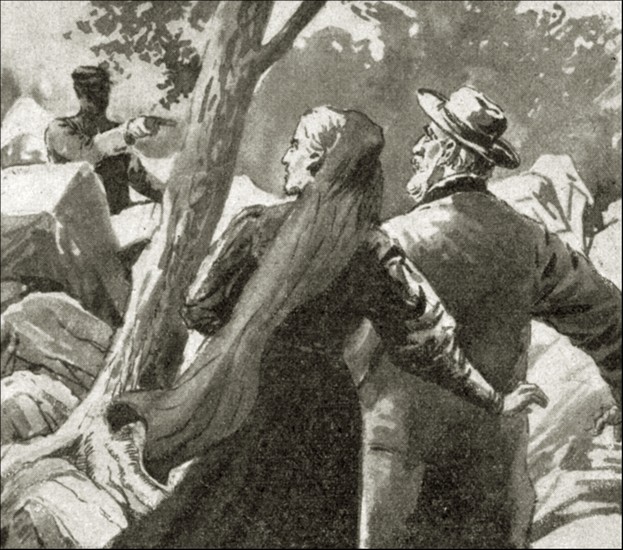 Illustration