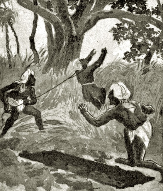 Illustration