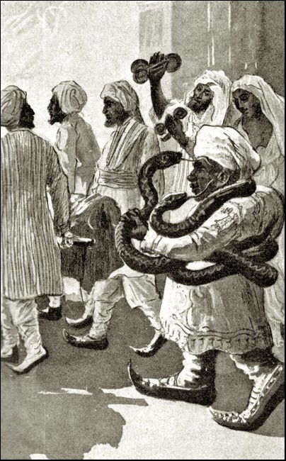 Illustration