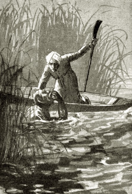 Illustration