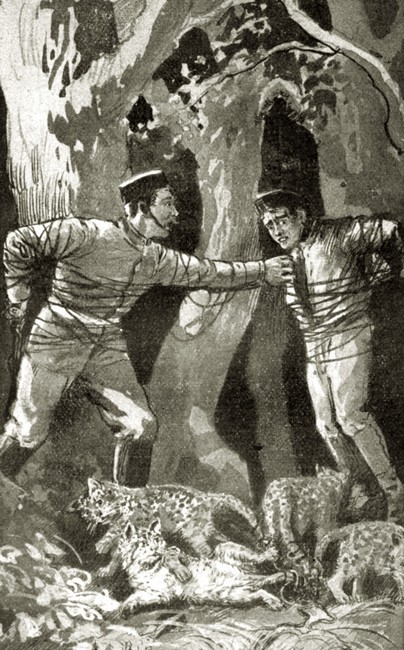 Illustration