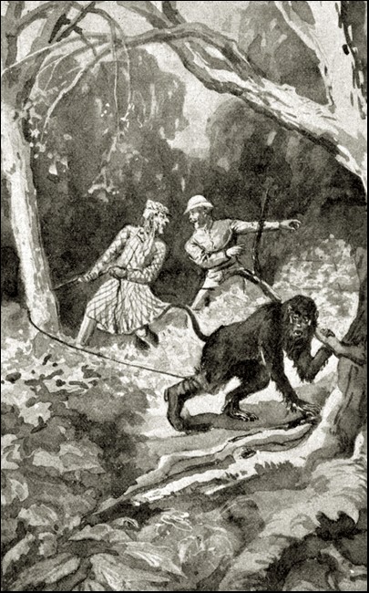 Illustration