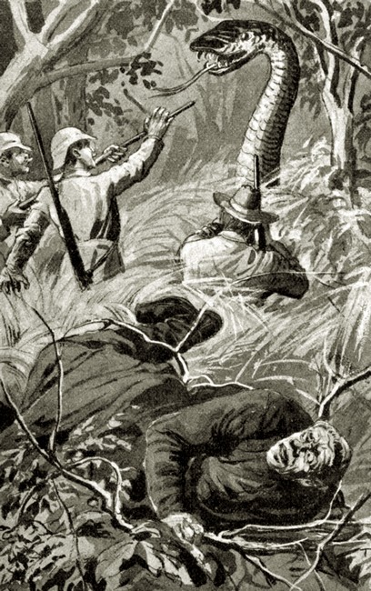 Illustration