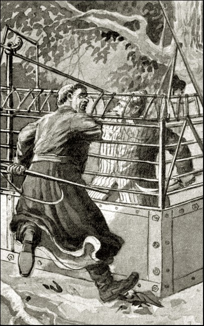 Illustration