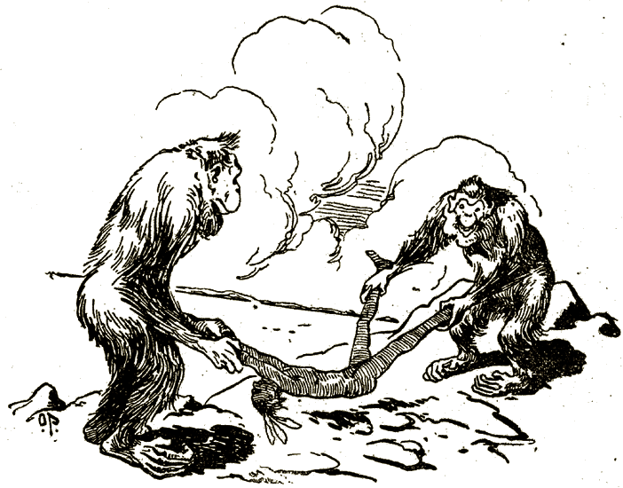 Illustration