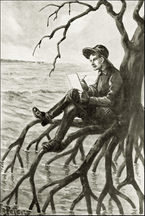 Illustration