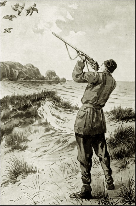 Illustration
